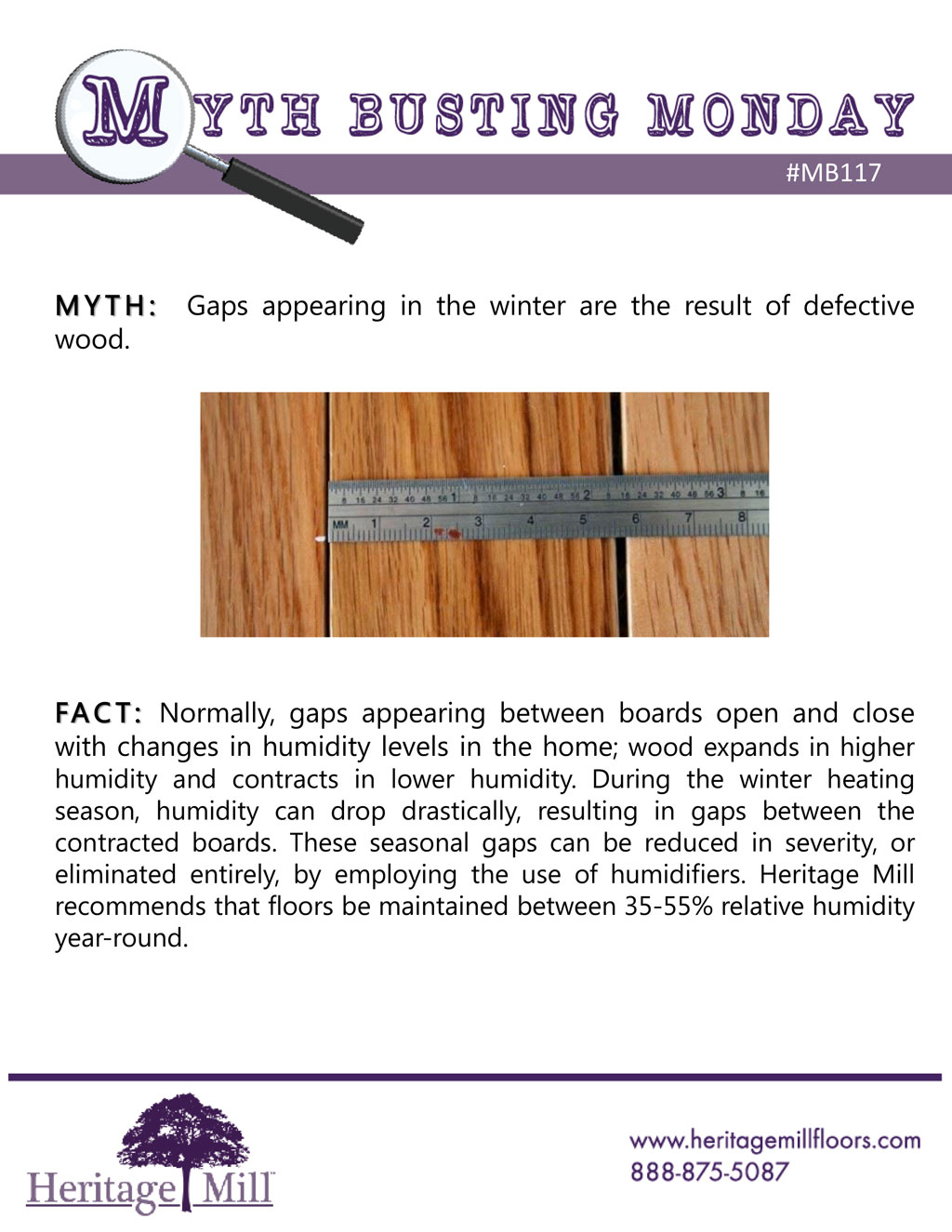 myth winter gaps